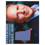 Peter Schiff for Senate Flyer