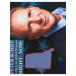 Peter Schiff for Senate letterhead