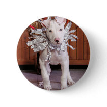 Petey - Pitbull buttons