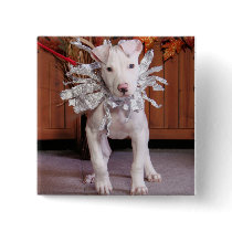 Petey - Pitbull buttons