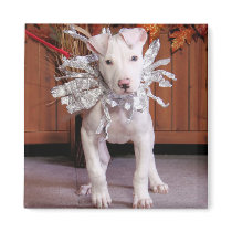 Petey - Pitbull magnets by FrankzPawPrintz Petey - Pitbull magnets