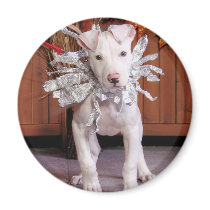 Petey - Pitbull magnets by FrankzPawPrintz Petey - Pitbull magnets