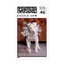 Petey - Pitbull postage by FrankzPawPrintz Petey - Pitbull postage