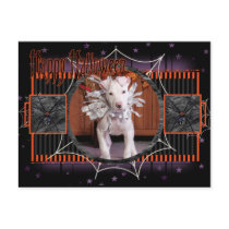 Petey - Pitbull postcards