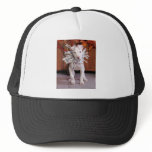 Petey - Pitbull Puppy - Heaton hats