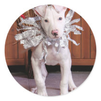Petey - Pitbull stickers