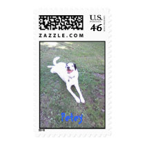 Petey postage by Rescuemom Petey postage