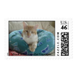 Petey postage