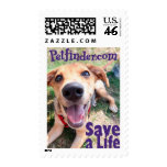 Petfinder.com Stamp