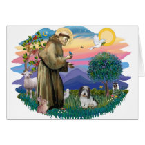 Petit Basset Girffon Vendeen (#1) cards