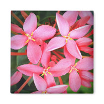 Petite Beauties magnets by Heartworks Petite Beauties magnets
