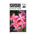 Petite Beauties postage by Heartworks Petite Beauties postage