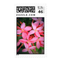 Petite Beauties postage by Heartworks Petite Beauties postage