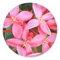 Petite Beauties stickers by Heartworks Petite Beauties stickers