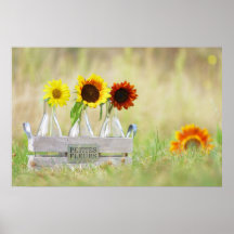 Petites Fleurs sunflowers still lives Posters