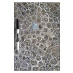 Petoskey Stone, Pure Michigan! Dry-Erase Boards Petoskey Stone, Pure Michigan! Dry-Erase Boards