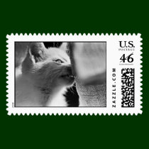 Petra Ferocious stamps