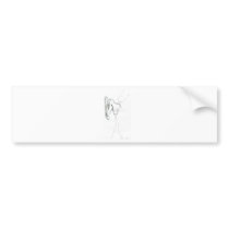 Petra Incarnatum Bumper Sticker