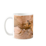 Petra - Jordan Mug