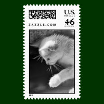 Petra Poised stamps