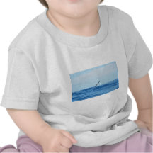 Petrel In Flight Shirt