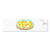 Petri Dish MRSA bumper stickers