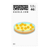 Petri Dish MRSA Postage Stamp