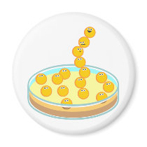 Petri Dish Tower magnets