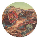 Petrified Forest Arizona Round Stickers
