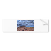 Petrified Forest Bumper Stickers