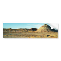 Petrified Forest Desert bumper stickers