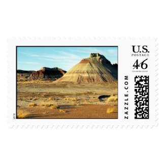 Petrified Forest Desert – Large stamp