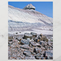 Petrified Forest - Desert National Park Full Color Flyer