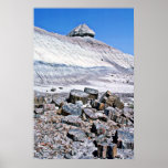 Petrified Forest - Desert National Park Poster