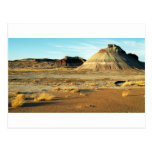 Petrified Forest Desert Postcards