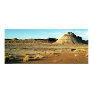 Petrified Forest Desert print