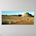 Petrified Forest Desert
