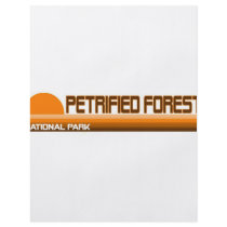 Petrified Forest National Park Full Color Flyer
