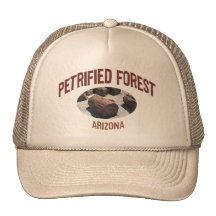 Petrified Forest National Park Mesh Hats