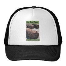 Petrified Forest National Park Mesh Hats