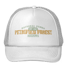 Petrified Forest National Park Mesh Hats