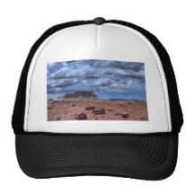 Petrified Forest Trucker Hats