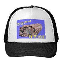 Petrified Hat