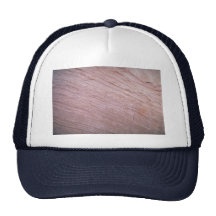 Petrified pieces Photo Hat