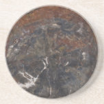 Petrified wood 03 coasters