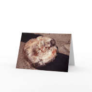 Petrified Wood card