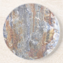 Petrified Wood Coaster I