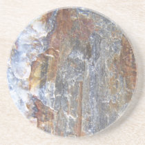 Petrified Wood Coaster II