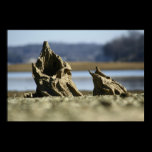 Petrified Wood on the beach Print