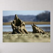 Petrified Wood on the beach Print